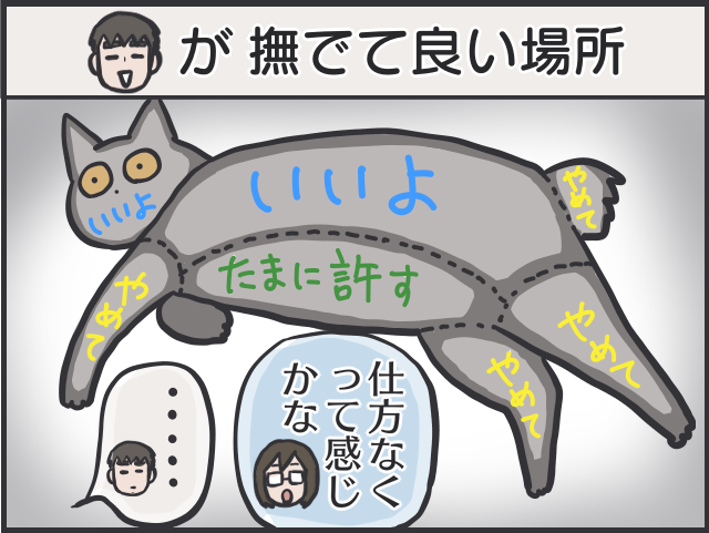 愛猫のお腹を撫でたいのに...娘に優しく、私に厳しい愛猫／フニャコ（7）