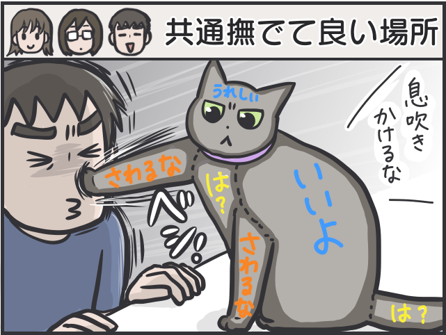 愛猫のお腹を撫でたいのに...娘に優しく、私に厳しい愛猫／フニャコ（8）