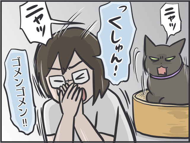 愛猫のお腹を撫でたいのに...娘に優しく、私に厳しい愛猫／フニャコ（9）