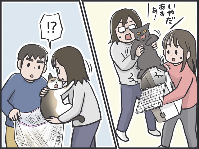 愛猫を病院へ！キャリーを見た途端逃げ出す猫を一人でどうやって連れていく？／フニャコ（2）