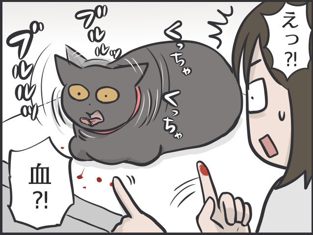 愛猫を病院へ！キャリーを見た途端逃げ出す猫を一人でどうやって連れていく？／フニャコ（3）