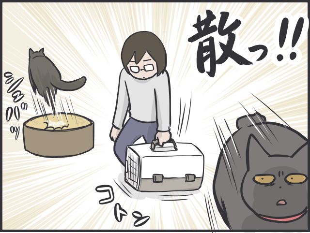 愛猫を病院へ！キャリーを見た途端逃げ出す猫を一人でどうやって連れていく？／フニャコ（4）