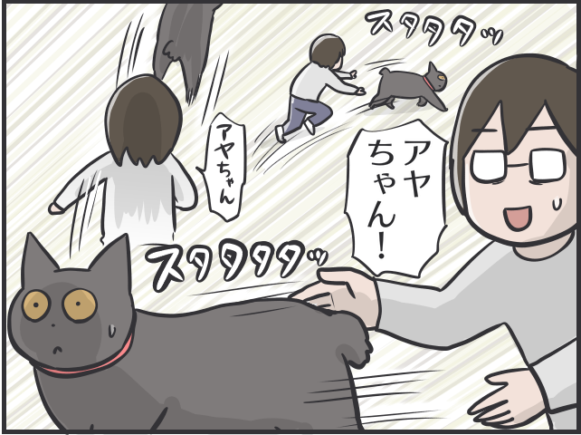 愛猫を病院へ！キャリーを見た途端逃げ出す猫を一人でどうやって連れていく？／フニャコ（6）