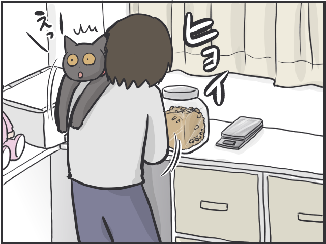 愛猫を病院へ！キャリーを見た途端逃げ出す猫を一人でどうやって連れていく？／フニャコ（8）