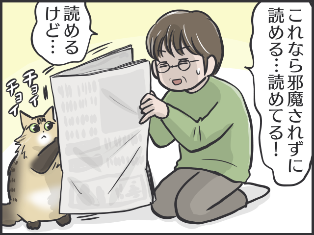 愛猫が可愛すぎて...親バカな母vsツンデレ愛猫の攻防戦／フニャコ（1）