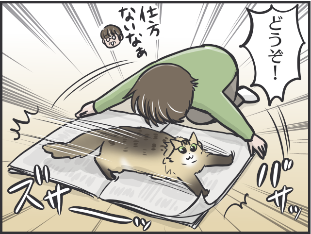 愛猫が可愛すぎて...親バカな母vsツンデレ愛猫の攻防戦／フニャコ（3）