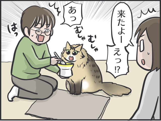 愛猫が可愛すぎて...親バカな母vsツンデレ愛猫の攻防戦／フニャコ（6）