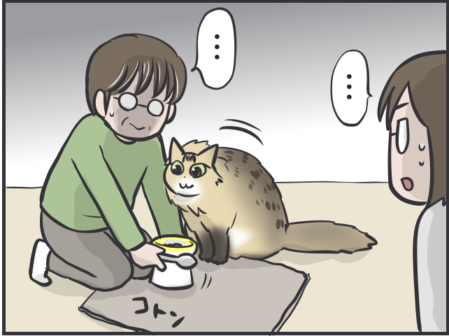 愛猫が可愛すぎて...親バカな母vsツンデレ愛猫の攻防戦／フニャコ（7）