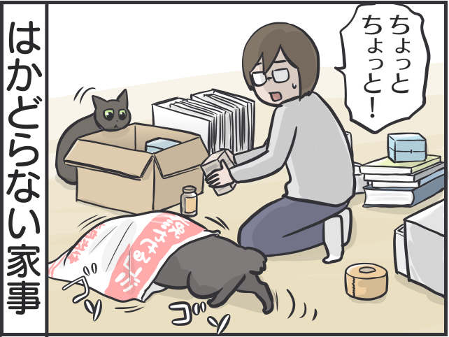 黒猫2匹との生活は大変だけど...計り知れない幸せをくれる「猫パワー」を日々実感 ／フニャコ（5）