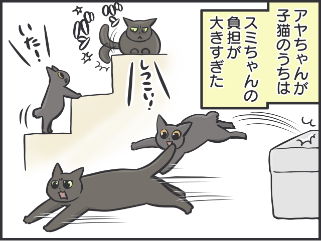 愛猫たちは仲良し同士でないけれど...「絶妙な距離」を保つ2匹の関係性が尊い／フニャコ（3）