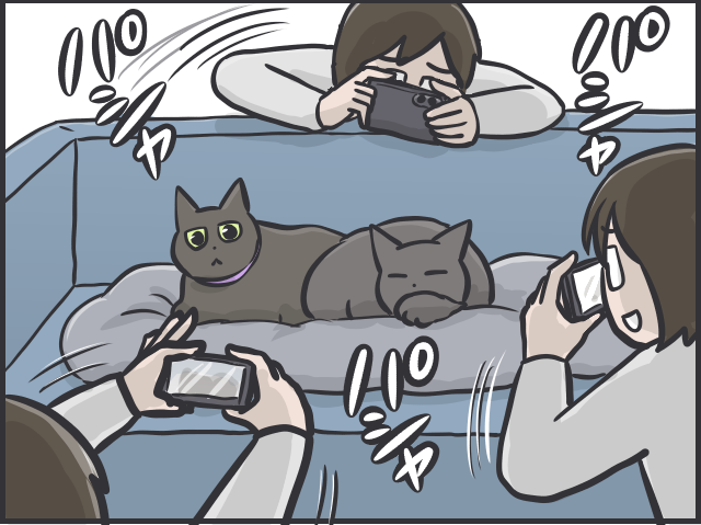 愛猫たちは仲良し同士でないけれど...「絶妙な距離」を保つ2匹の関係性が尊い／フニャコ（9）