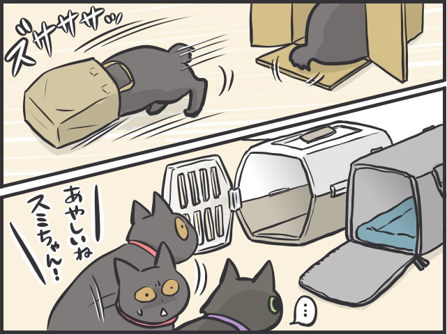 病院嫌いな愛猫の「診察スタイル」は...飼い主に助けを求める姿が可愛い／フニャコ（2）