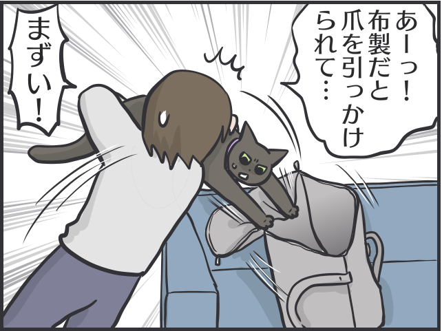 病院嫌いな愛猫の「診察スタイル」は...飼い主に助けを求める姿が可愛い／フニャコ（3）