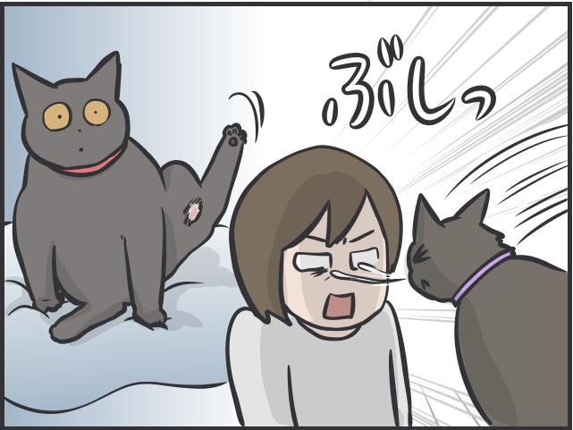 病院嫌いな愛猫の「診察スタイル」は...飼い主に助けを求める姿が可愛い／フニャコ（4）