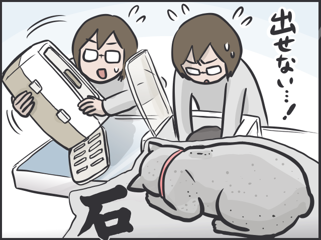 病院嫌いな愛猫の「診察スタイル」は...飼い主に助けを求める姿が可愛い／フニャコ（6）