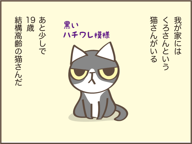 急に食欲のなくなった高齢猫...ご飯をあげるときに助かった身近なもの／しまえもん（1）