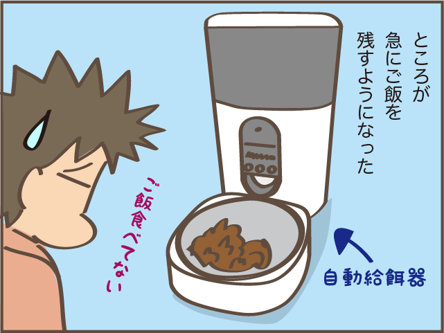 急に食欲のなくなった高齢猫...ご飯をあげるときに助かった身近なもの／しまえもん（4）