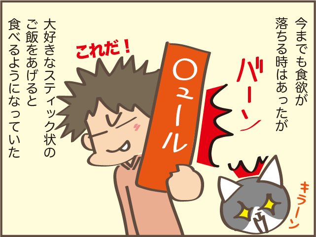 急に食欲のなくなった高齢猫...ご飯をあげるときに助かった身近なもの／しまえもん（5）