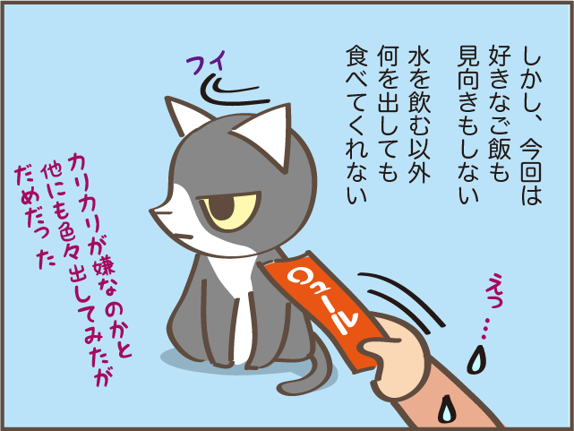 急に食欲のなくなった高齢猫...ご飯をあげるときに助かった身近なもの／しまえもん（6）