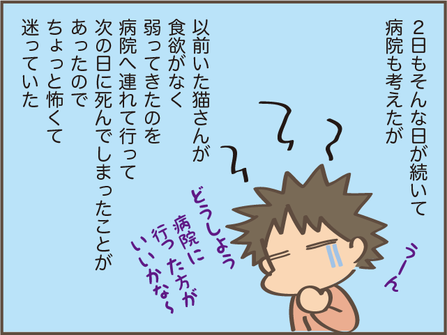 急に食欲のなくなった高齢猫...ご飯をあげるときに助かった身近なもの／しまえもん（7）