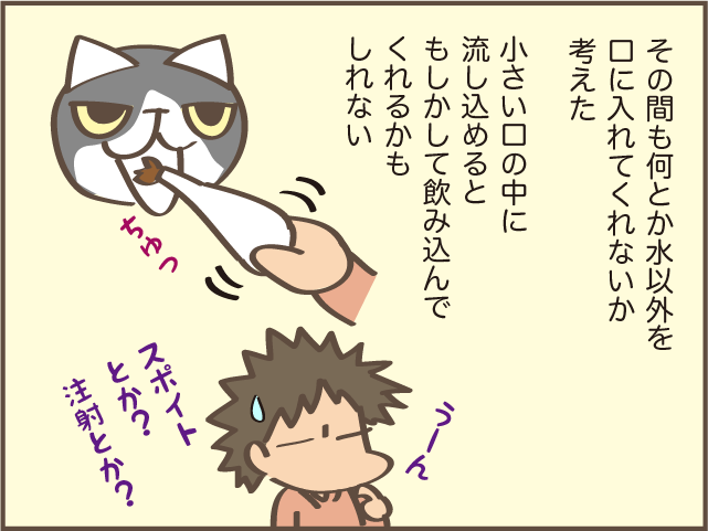 急に食欲のなくなった高齢猫...ご飯をあげるときに助かった身近なもの／しまえもん（8）