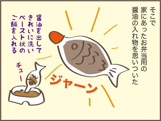 急に食欲のなくなった高齢猫...ご飯をあげるときに助かった身近なもの／しまえもん（9）