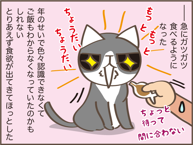 急に食欲のなくなった高齢猫...ご飯をあげるときに助かった身近なもの／しまえもん（11）