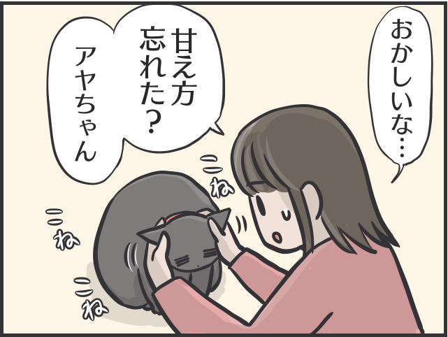 毎日お世話してるのは私なのに！ 理不尽すぎる猫たちの「家庭内ヒエラルキー」／フニャコ（4）