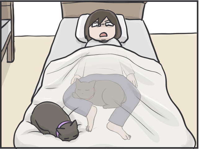 毎日お世話してるのは私なのに！ 理不尽すぎる猫たちの「家庭内ヒエラルキー」／フニャコ（5）