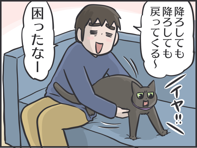 毎日お世話してるのは私なのに！ 理不尽すぎる猫たちの「家庭内ヒエラルキー」／フニャコ（9）