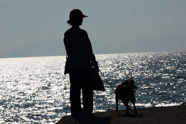 大好きなじいちゃんの位牌の前で寝ていた愛犬。そして3カ月半後、後を追うように...／キッチン夫婦（1）