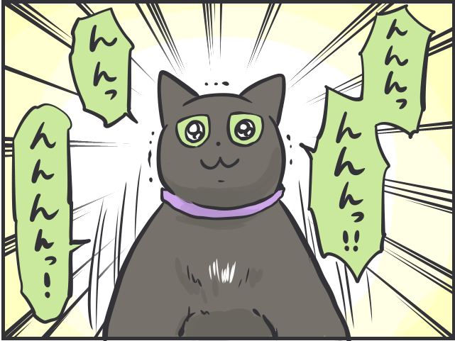 【猫あるある】「大」をしたあと突然のハイテンション！部屋中を駆け回る「トイレハイ」／フニャコ（1）