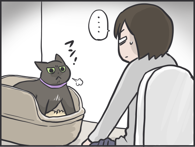 【猫あるある】「大」をしたあと突然のハイテンション！部屋中を駆け回る「トイレハイ」／フニャコ（3）