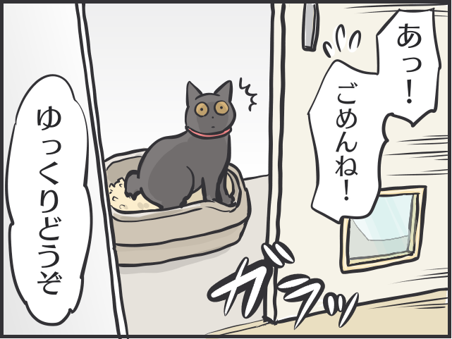 【猫あるある】「大」をしたあと突然のハイテンション！部屋中を駆け回る「トイレハイ」／フニャコ（5）
