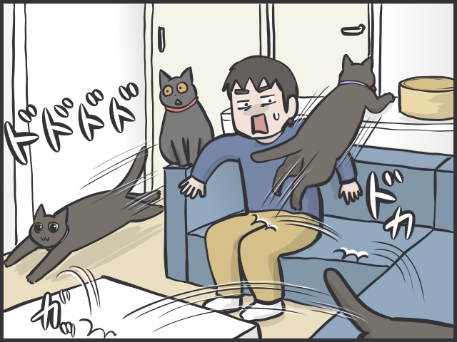 【猫あるある】「大」をしたあと突然のハイテンション！部屋中を駆け回る「トイレハイ」／フニャコ（8）