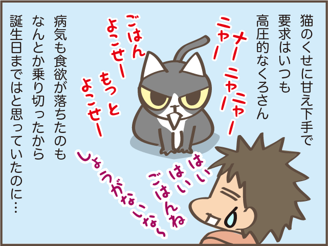 虹の橋を渡った愛猫・くろさん。甘え下手で高圧的な性格だったけど...／しまえもん（1）