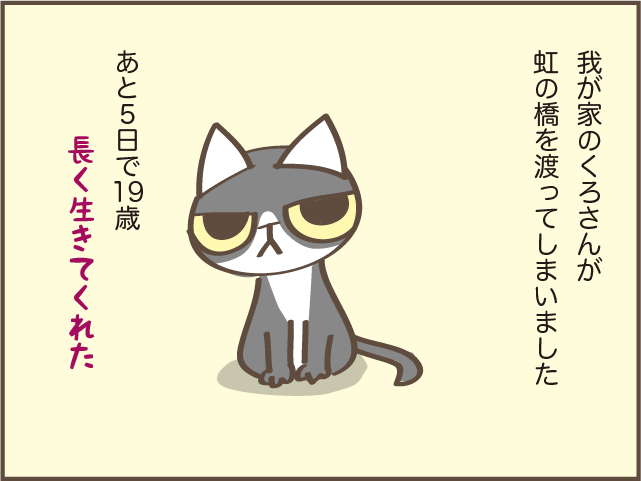 虹の橋を渡った愛猫・くろさん。甘え下手で高圧的な性格だったけど...／しまえもん（2）