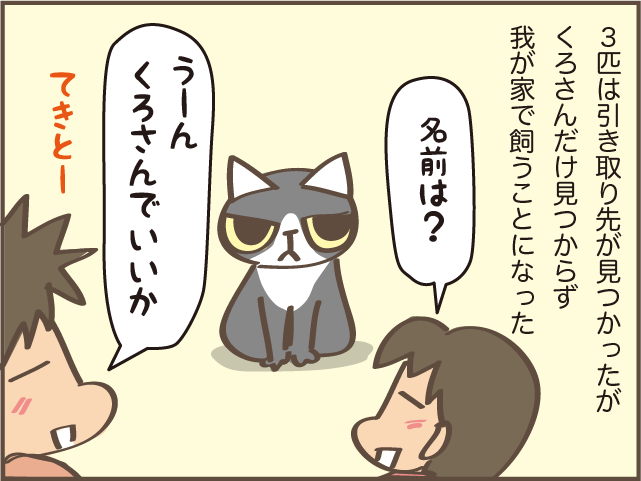 虹の橋を渡った愛猫・くろさん。甘え下手で高圧的な性格だったけど...／しまえもん（5）