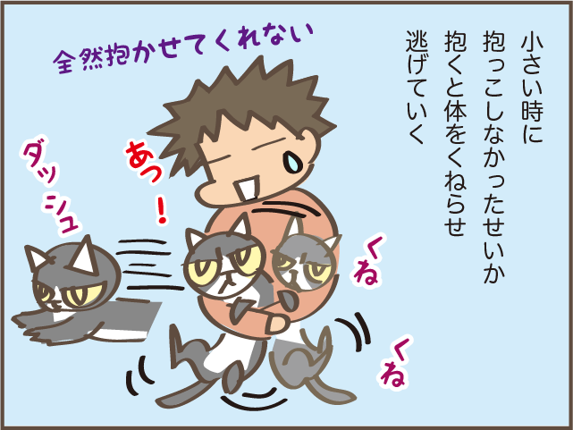 虹の橋を渡った愛猫・くろさん。甘え下手で高圧的な性格だったけど...／しまえもん（6）