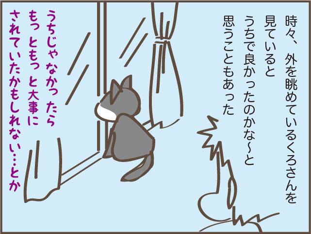 虹の橋を渡った愛猫・くろさん。甘え下手で高圧的な性格だったけど...／しまえもん（8）