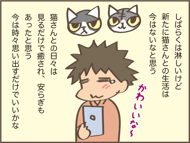 虹の橋を渡った愛猫・くろさん。甘え下手で高圧的な性格だったけど...／しまえもん（9）