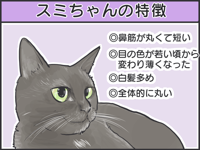黒猫はみんな同じ顔!? 一緒に住む家族だからこそわかる「うちの子の見分け方」／フニャコ（3）