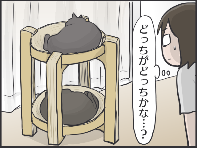 黒猫はみんな同じ顔!? 一緒に住む家族だからこそわかる「うちの子の見分け方」／フニャコ（5）
