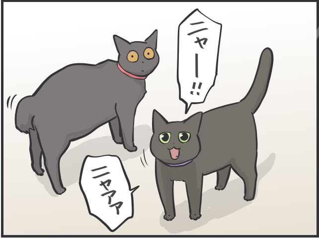 黒猫はみんな同じ顔!? 一緒に住む家族だからこそわかる「うちの子の見分け方」／フニャコ（6）