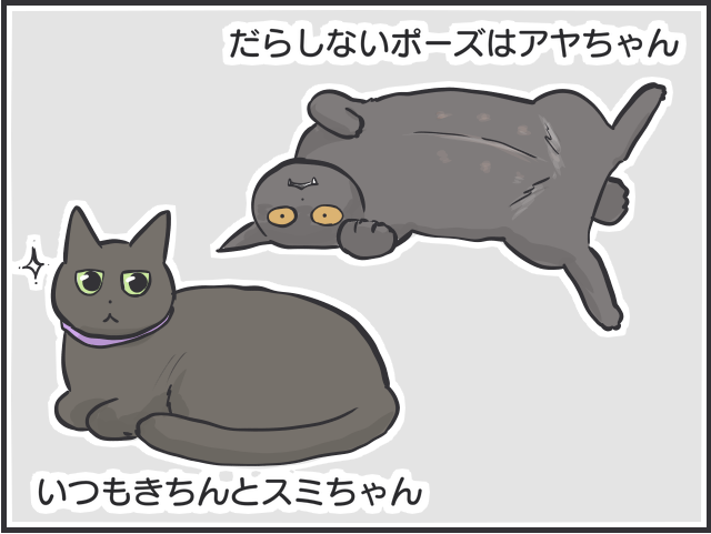 黒猫はみんな同じ顔!? 一緒に住む家族だからこそわかる「うちの子の見分け方」／フニャコ（7）