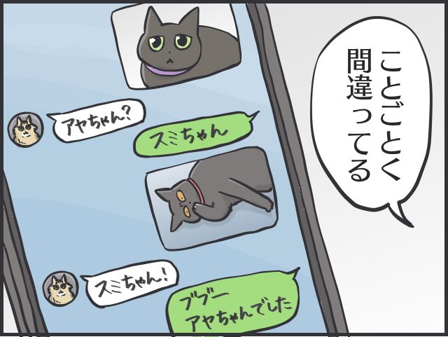 黒猫はみんな同じ顔!? 一緒に住む家族だからこそわかる「うちの子の見分け方」／フニャコ（9）