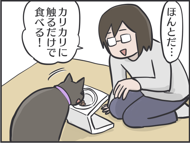 足腰の弱りは感じるけど...14歳のシニア猫の愛おしすぎる「変化」／フニャコ（7）