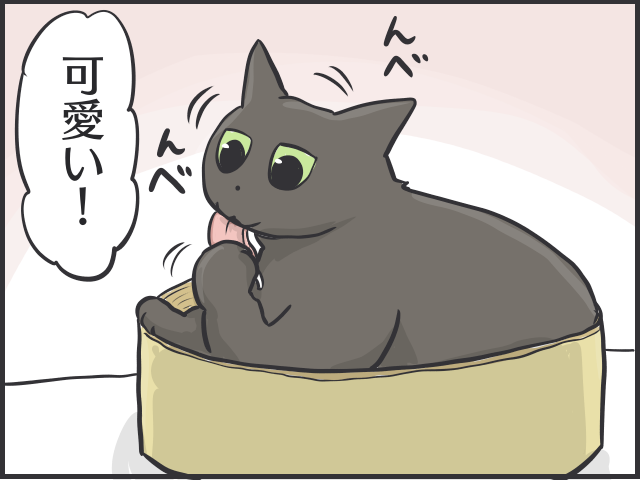 「猫かと思ったら物」「夜は闇に紛れる」2匹の黒猫と暮らす私が見つけた「黒猫あるある」／フニャコ（1）
