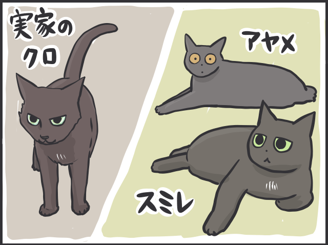 「猫かと思ったら物」「夜は闇に紛れる」2匹の黒猫と暮らす私が見つけた「黒猫あるある」／フニャコ（2）