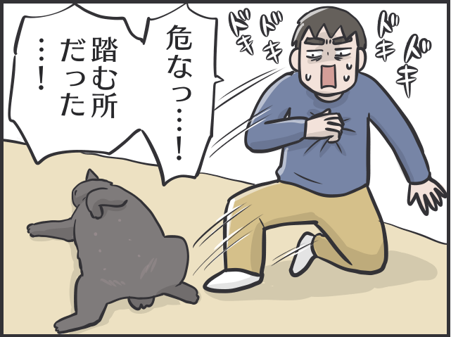 「猫かと思ったら物」「夜は闇に紛れる」2匹の黒猫と暮らす私が見つけた「黒猫あるある」／フニャコ（3）